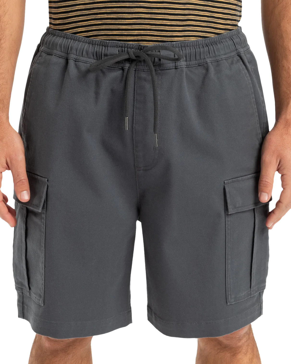 Taxer Cargo Walkshorts in Iron Gate